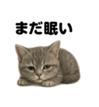とにかく眠いマンチカン猫スタンプ（個別スタンプ：14）