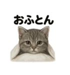 とにかく眠いマンチカン猫スタンプ（個別スタンプ：15）