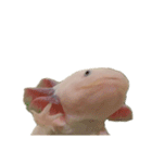 ウパうめ日記 可愛い集編（個別スタンプ：17）