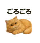 とにかく眠いペルシャ猫スタンプ（個別スタンプ：5）
