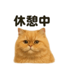 とにかく眠いペルシャ猫スタンプ（個別スタンプ：7）