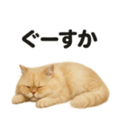 とにかく眠いペルシャ猫スタンプ（個別スタンプ：8）