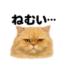 とにかく眠いペルシャ猫スタンプ（個別スタンプ：9）
