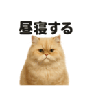 とにかく眠いペルシャ猫スタンプ（個別スタンプ：10）