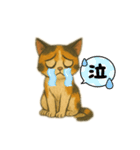 ミケミケ⭐︎エモーション（個別スタンプ：11）
