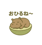 フルーツになった夢見る動物2025夏（個別スタンプ：18）