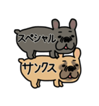 みんなのフレンチブルドッグ12（個別スタンプ：12）