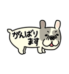 みんなのフレンチブルドッグ12（個別スタンプ：13）