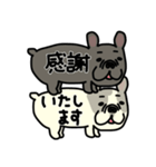 みんなのフレンチブルドッグ12（個別スタンプ：15）