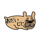 みんなのフレンチブルドッグ12（個別スタンプ：39）