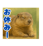 マーモットは友達（個別スタンプ：16）
