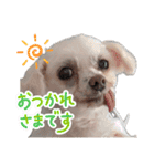 マガくんお誕生日記念スタンプ（個別スタンプ：3）