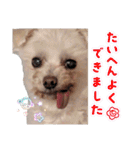 マガくんお誕生日記念スタンプ（個別スタンプ：5）