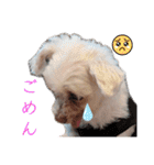 マガくんお誕生日記念スタンプ（個別スタンプ：12）