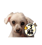 マガくんお誕生日記念スタンプ（個別スタンプ：29）