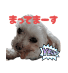 マガくんお誕生日記念スタンプ（個別スタンプ：35）