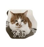 メロレイのスタンプ（個別スタンプ：8）