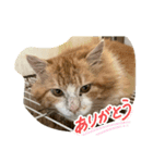 メロレイのスタンプ（個別スタンプ：9）