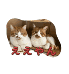 メロレイのスタンプ（個別スタンプ：10）