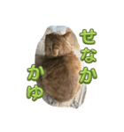 メロレイのスタンプ（個別スタンプ：14）