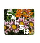 kyoko187 おはよう（個別スタンプ：10）