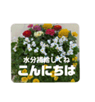 kyoko187 おはよう（個別スタンプ：11）