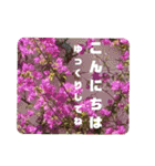 kyoko187 おはよう（個別スタンプ：14）