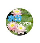 kyoko187 おはよう（個別スタンプ：17）