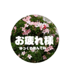 kyoko187 おはよう（個別スタンプ：22）
