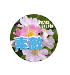 kyoko187 おはよう（個別スタンプ：31）