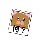 くまのリアクション（個別スタンプ：21）