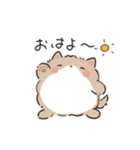 もふポメラニアン（個別スタンプ：1）