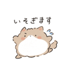 もふポメラニアン（個別スタンプ：5）