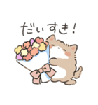 もふポメラニアン（個別スタンプ：14）