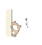 もふポメラニアン（個別スタンプ：18）