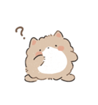 もふポメラニアン（個別スタンプ：22）
