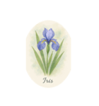5月の花シリーズ、May Flowers（個別スタンプ：5）