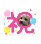 アンリィの日常（個別スタンプ：8）