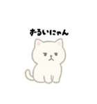 【毎日使える】しろまるにゃんのいちにち（個別スタンプ：2）