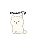 【毎日使える】しろまるにゃんのいちにち（個別スタンプ：9）