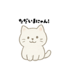 【毎日使える】しろまるにゃんのいちにち（個別スタンプ：25）