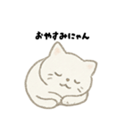 【毎日使える】しろまるにゃんのいちにち（個別スタンプ：26）