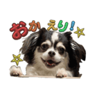 れおとてり4（個別スタンプ：1）