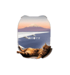 ねこの日常的ですよ（個別スタンプ：1）