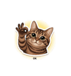 ねこの日常的ですよ（個別スタンプ：3）