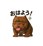 HYBRIDKENNEL ルフィ1（個別スタンプ：1）