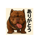 HYBRIDKENNEL ルフィ1（個別スタンプ：2）