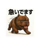 HYBRIDKENNEL ルフィ1（個別スタンプ：5）