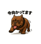 HYBRIDKENNEL ルフィ1（個別スタンプ：6）