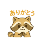 あいさつするアライグマ（個別スタンプ：1）